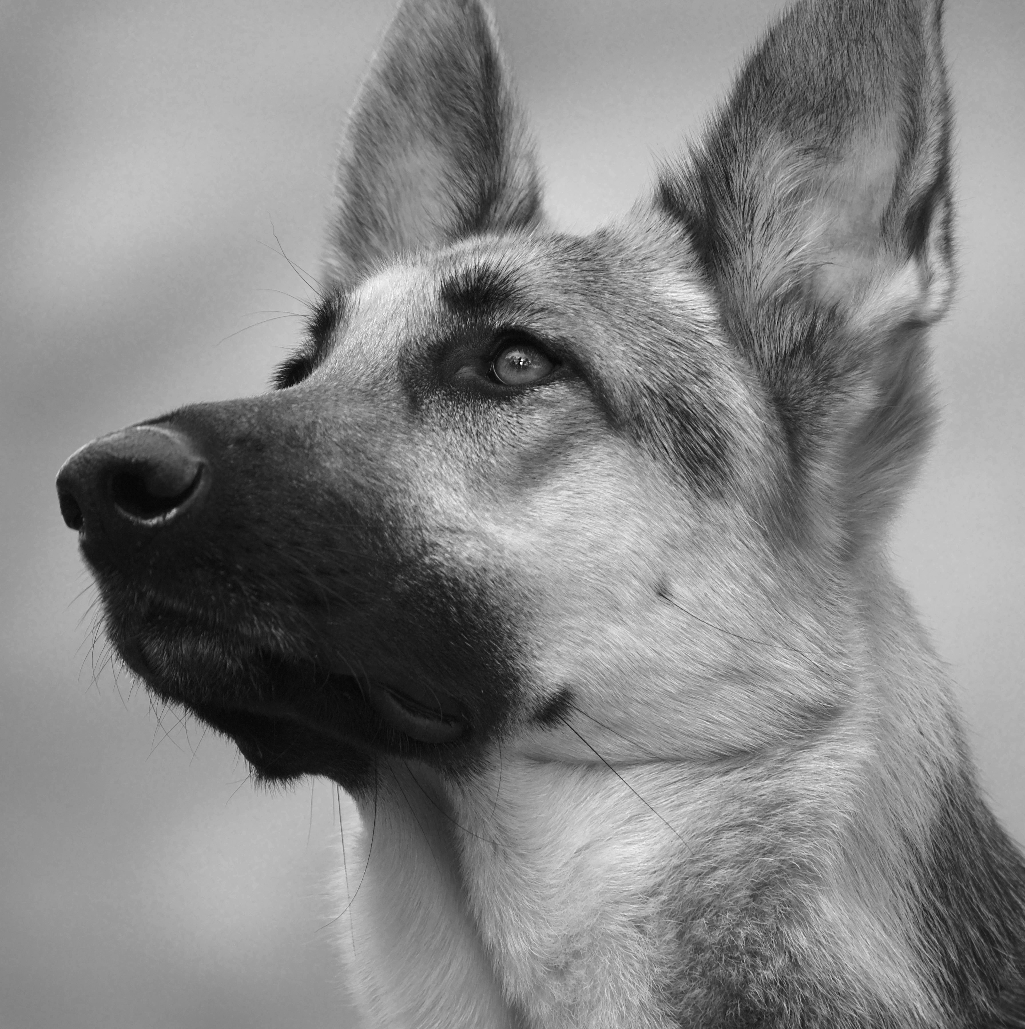 Security team overlooking city symbolizing future vision